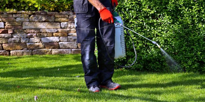 Worker in red gloves spraying along a lawn edge with a hand pressure sprayer