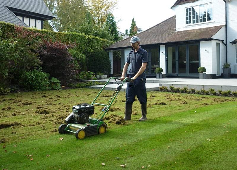 Walk-behind scarifier lifting rows of thatch out of a residential backyard lawn