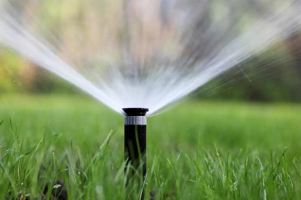 Pop-up sprinkler head spraying a fan of water across turf
