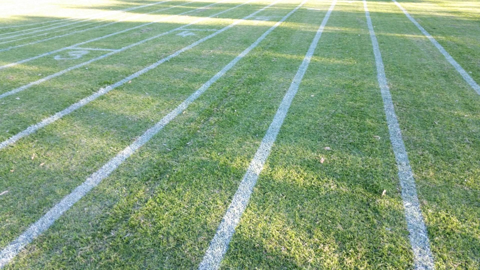 Freshly painted athletics lanes on a school oval