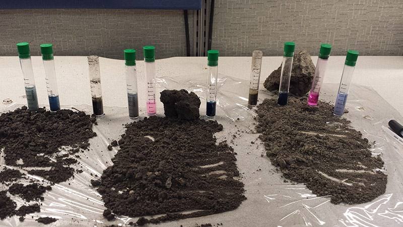 Soil samples and test tubes laid out for pH and nutrient analysis