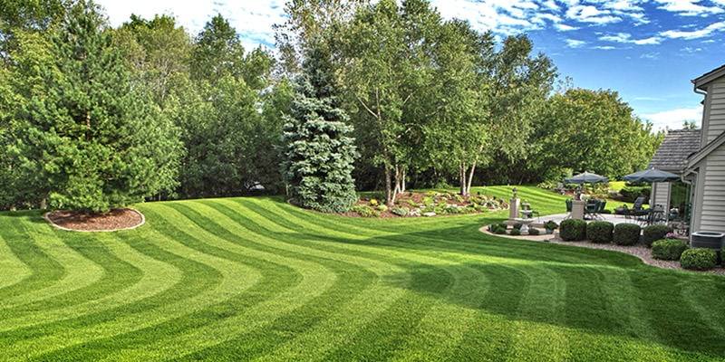 Freshly mown backyard lawn with curved stripes, bordered by garden beds and established trees