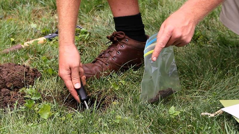 Soil probe and sample bag being used to take a soil test from a lawn