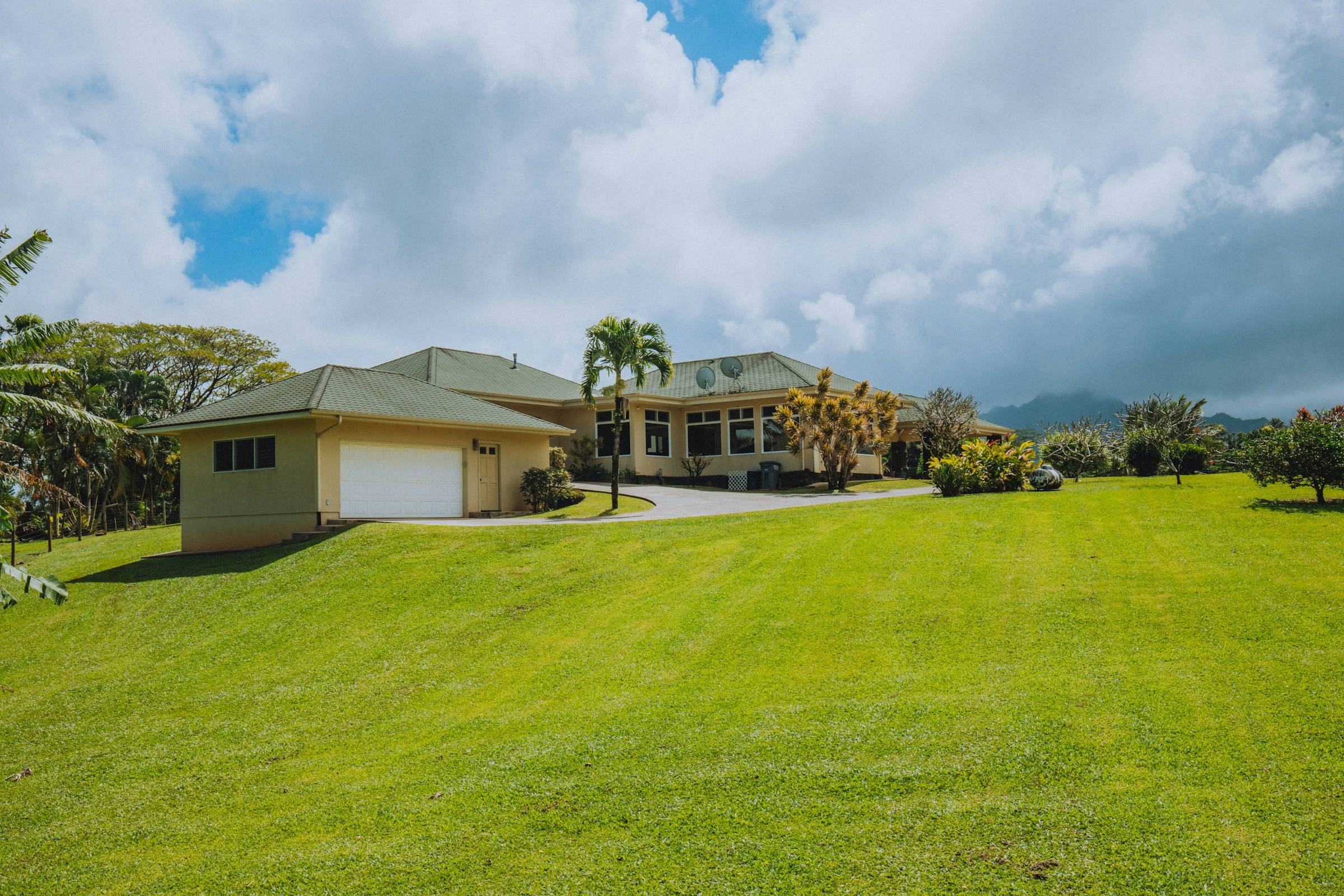 Wide, healthy green lawn in front of a single-storey home with palm trees